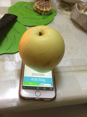 ƻ���ֻ����ع�������