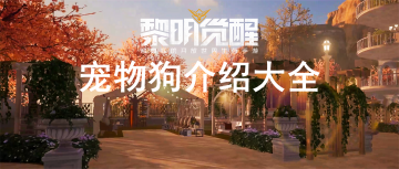 �������ѳ����ȫ