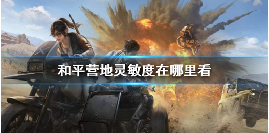 ��ƽӪ�������Ȳ鿴����