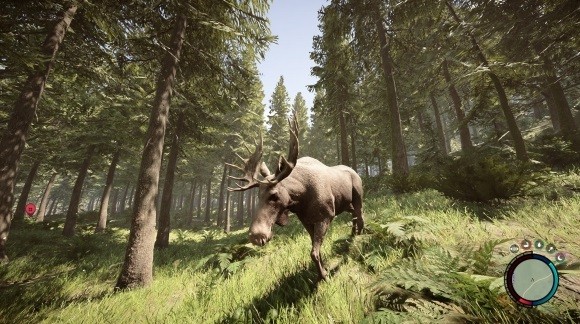 ɭ��֮���������λ��һ��