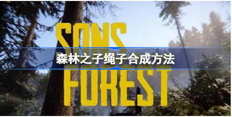 ɭ��֮�����Ӻϳɽ���