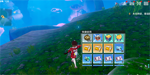 �����Ժ���������