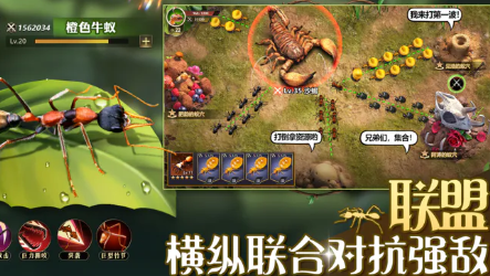 СС�Ϲ�����������ѡ��