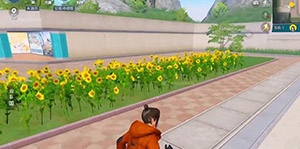 ��ƽ��Ӣ����������ô���