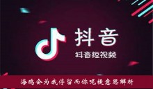 ����������Ÿ��Ϊ��ͣ�������ع���˼����