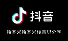 �������������׹����׹���˼����