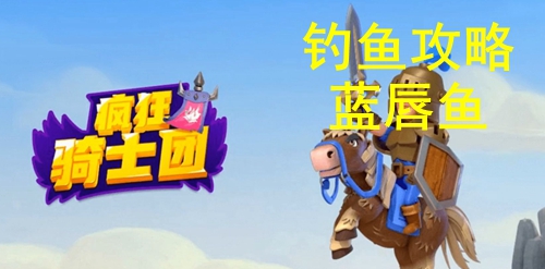 �����ʿ�ŵ������㹥��