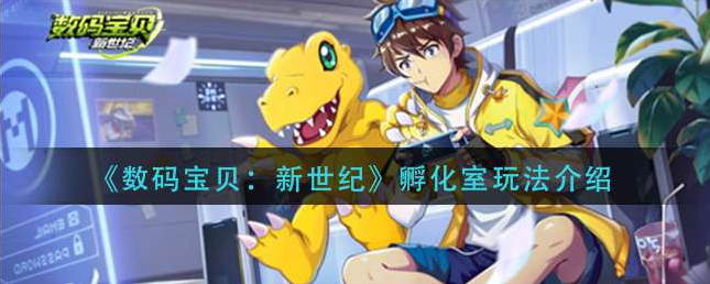 ���뱦�������ͷ�������ô��