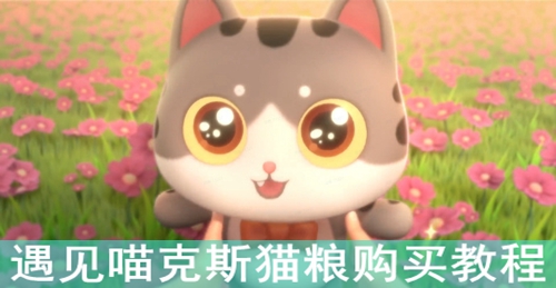 ��������˹è������̳�