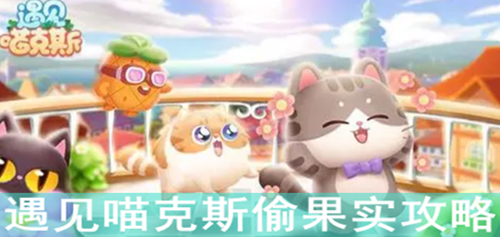 ��������˹͵��ʵ����