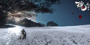 ��֮׷����ǿְҵ��ʲô