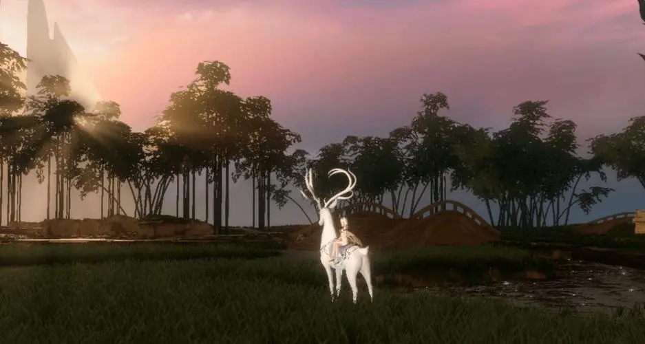 ��֮׷������ܽ���