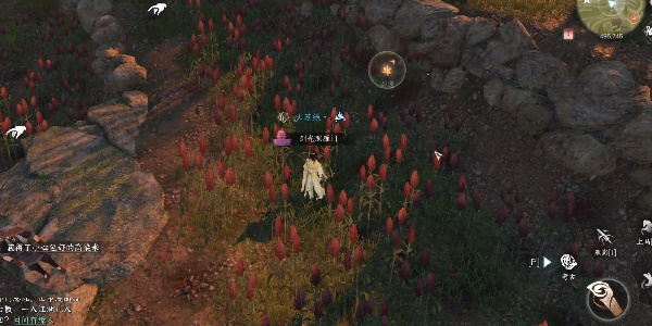 ����ˮ�����Ρ�ѩɫ�׹�¼1������ô��