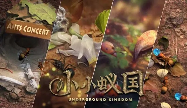 СС�Ϲ��ػ������ݴ����Ƽ�