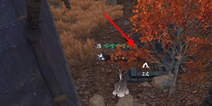 ��ˮ���������ɱ߾����¿���ô��