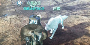 ��ˮ���������ư�ѩ�������ô��