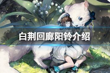 �׾������������