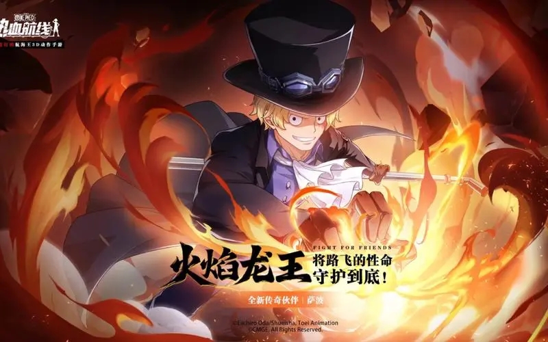 ��������Ѫ�����������ܽ���