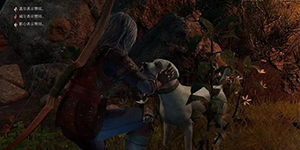 ����֮��3Ӱ�Ĺ���