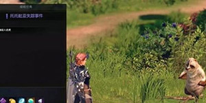 ���˷�������Ƥ�ǵ�֮����ô���