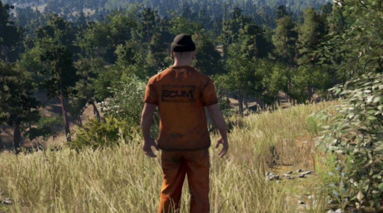 ����scum0.9�������