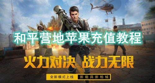 ��ƽӪ��ƻ����ֵ�̳�