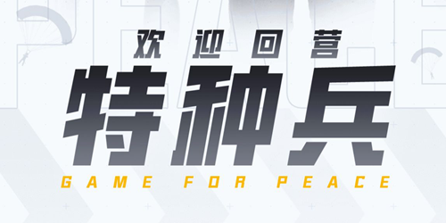 ��ƽӪ�ز鿴�һ���ʹ�ü�¼����