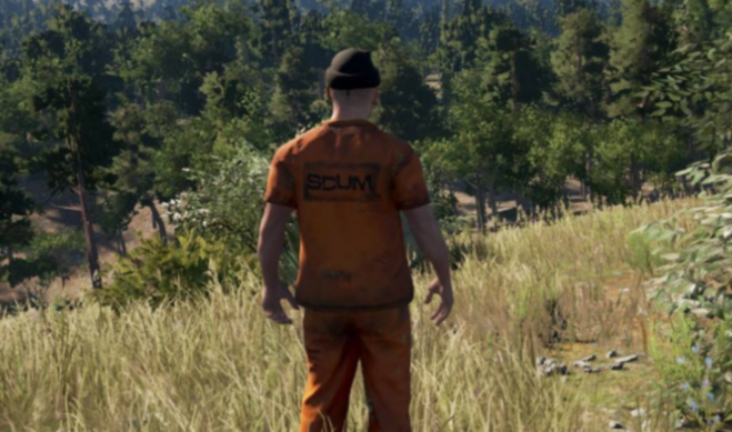 ����scum0.8��������