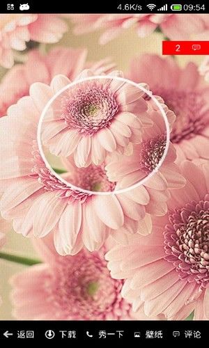 全屏来电秀软件截图 全屏来电秀软件截图