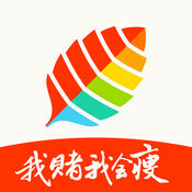 ���ɼ���