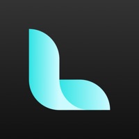 ����Ԥ��