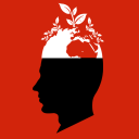 �Զ������