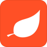 ��Ҷ����