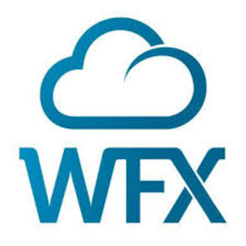 WFX Insights