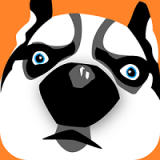 ������Ļ