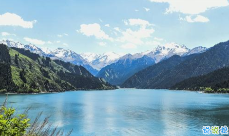 新疆人才网v3.1.0