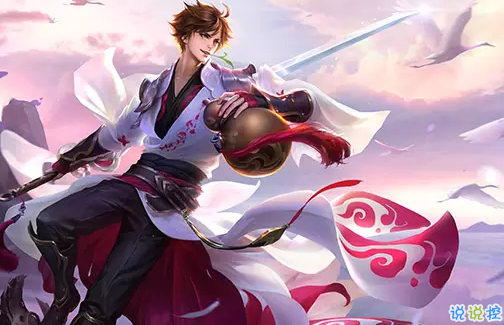 ����appv9.6.5