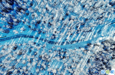 新疆人才网v3.1.0