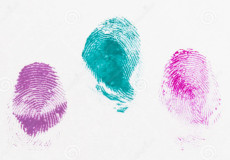 ָ��ʶ��ȫ�� ָ��ʶ��ȫ�Է���-��׿��Ѷ�� title=