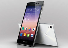 �ֻ���èǩ�������� �ֻ���è��ôǩ��-��׿��Ѷ�� title=