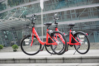 Сǿ������ô�� Сǿ����Ѻ�����-��׿��Ѷ�� title=