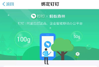 ����ɭ�ֶ�����ʲô ����ɭ�ֶ���������ô��-��׿��Ѷ�� title=