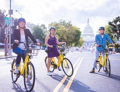 ofoС�Ƴ���������������ô�� ofoС�Ƴ�5-��׿��Ѷ�� title=