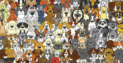 ����è��������Ϯ ����èͼƬ��-��׿��Ѷ�� title=