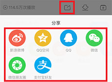 �ֻ��ſ����ڵ���Ƶ��ô��������-��׿��Ѷ�� title=