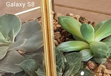 ����s8��ƻ��7�ĸ��� ����s8��iPhone7���ն�-��׿��Ѷ�� title=