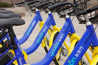 ������ҪѺ���� �����к�֥�����ú�������-��׿��Ѷ�� title=