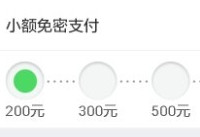 ֧������ô����С��֧������������-��׿��Ѷ�� title=