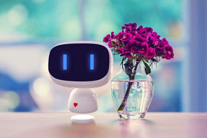 ��С�������ƻ�  ��ô������С�Ƚ̳�-��׿��Ѷ�� title=