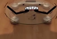 ��˵����ˮ����ʲô���� ��˵����ˮ����ʲô-��׿��Ѷ�� title=